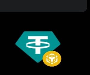 USDT Bep20